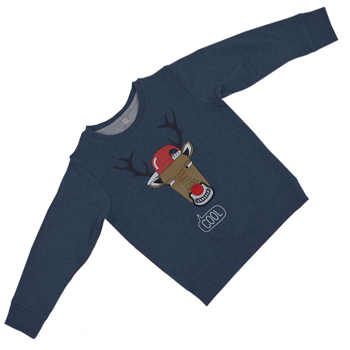 Boys Blue Jumper Rudolph Reindeer